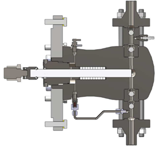 Schematic cutaway diagram of a packed plunger liquid end pump, variation patented by Milton Roy.